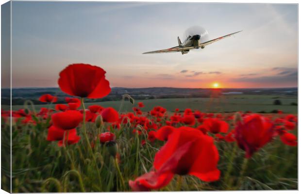Spitfire Summertime Flyby Canvas Print by J Biggadike