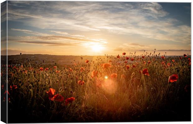 Poppy Field at Sunset Canvas Print by J Biggadike