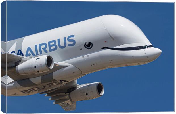 Airbus A330-743L Beluga XL Canvas Print by J Biggadike