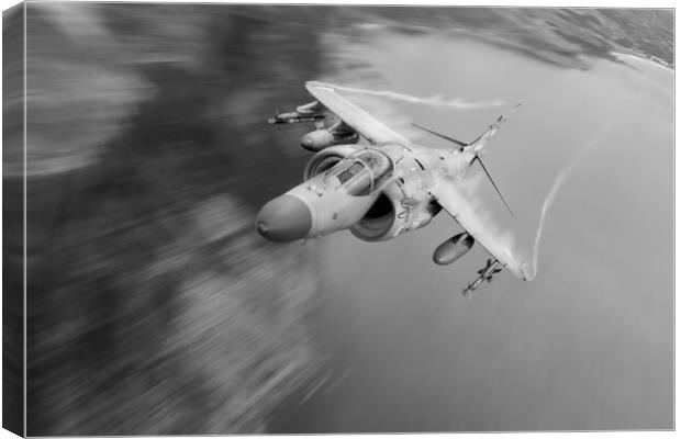 Sea Harrier Canvas Print by J Biggadike