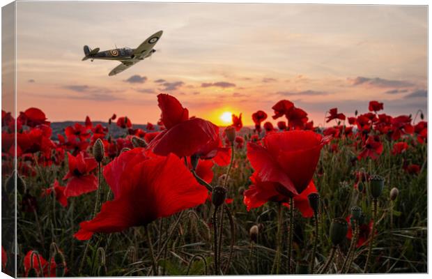 Outdoor field Canvas Print by J Biggadike