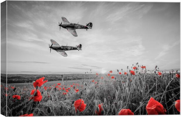 Spitfire and Hurricane Poppy Tribute Canvas Print by J Biggadike