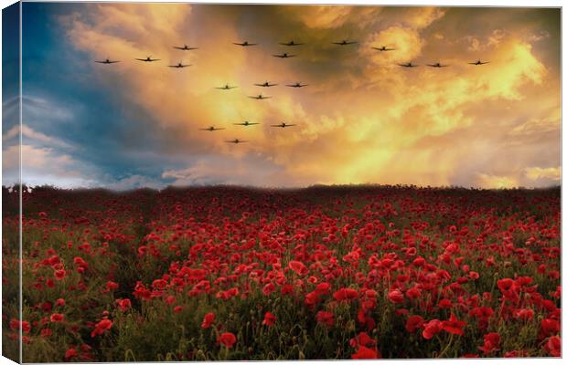 Sunset Poppies Spitfires Canvas Print by J Biggadike