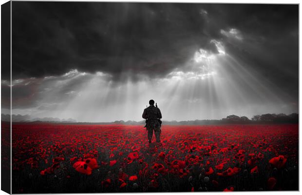 Remember The Soldiers Canvas Print by J Biggadike