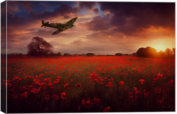 Crimson Fly By Canvas Print by J Biggadike