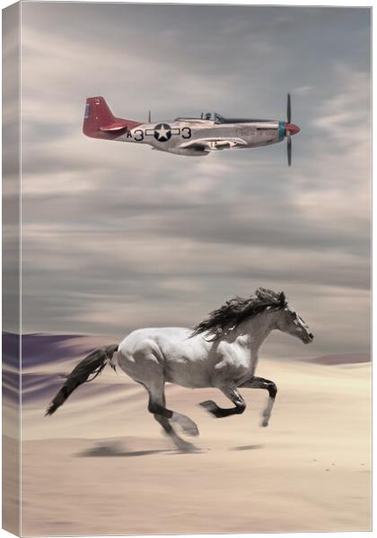 Mustangs Tall In The Saddle Canvas Print by J Biggadike