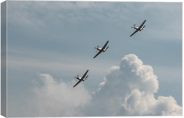 Mustang Trio Canvas Print by J Biggadike