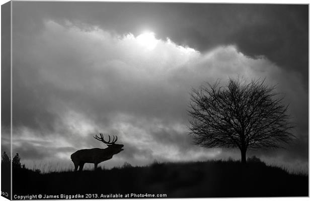 Stag Silhouette Canvas Print by J Biggadike