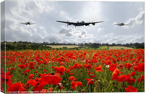 Lancaster Bomber Poppy Fly Past Canvas Print by J Biggadike