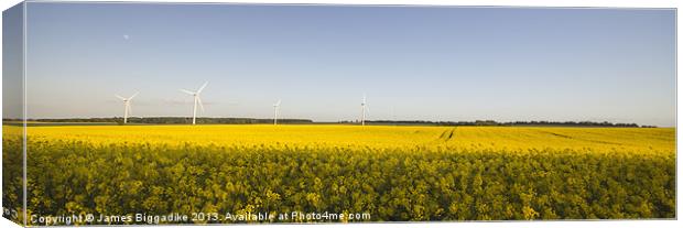 Yellow Fields Canvas Print by J Biggadike