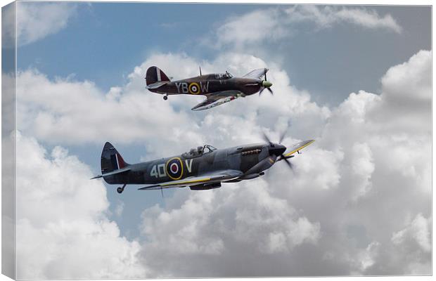 RAF Fighting Pair Canvas Print by J Biggadike