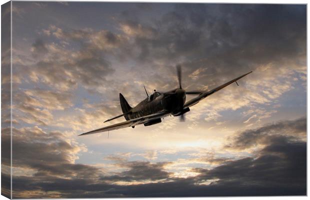 Golden Spitfire Canvas Print by J Biggadike