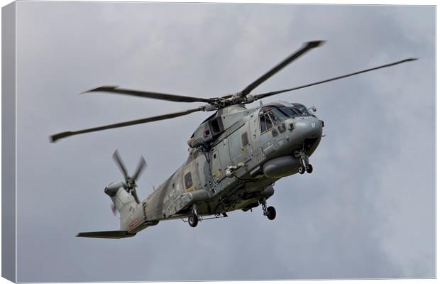 Navy Merlin Canvas Print by J Biggadike