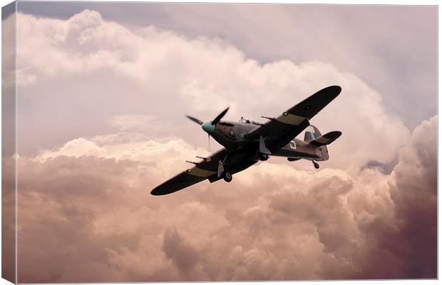 Warbirds - Hawker Hurricane  Canvas Print by J Biggadike
