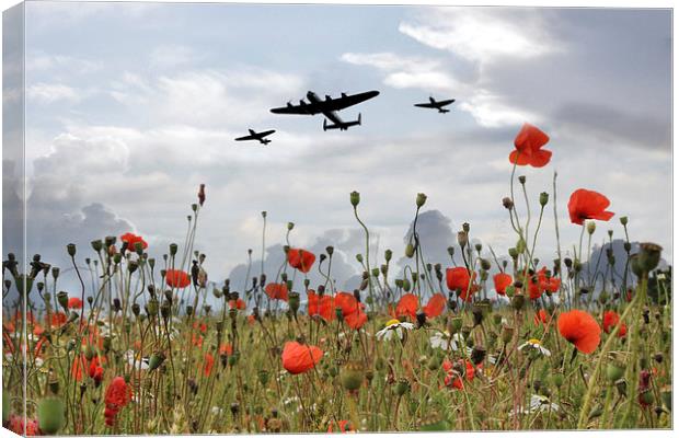 BBMF Over The Poppies Canvas Print by J Biggadike