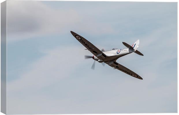 Silver Wings Canvas Print by J Biggadike