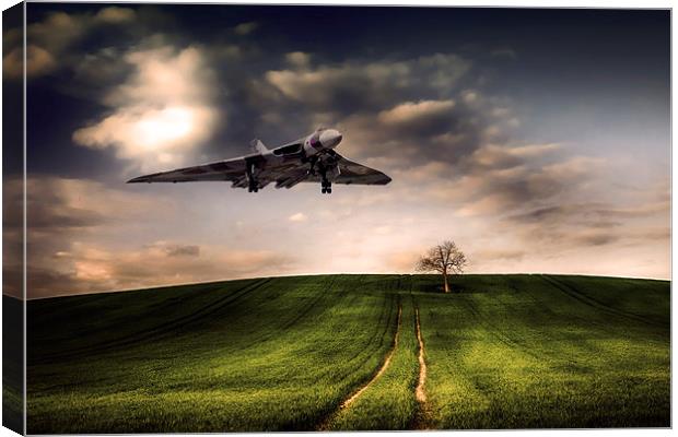 The Final Flight Canvas Print by J Biggadike