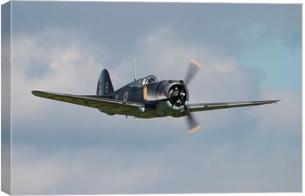 Curtiss P36 Canvas Print by J Biggadike