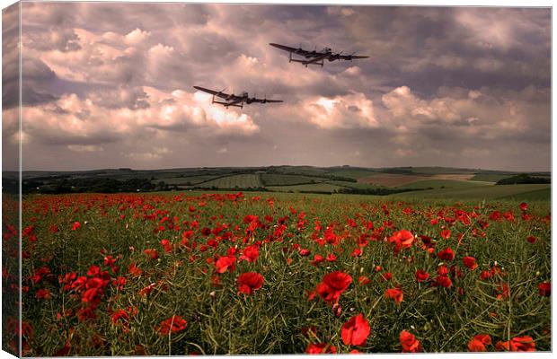 Brothers In Arms Canvas Print by J Biggadike