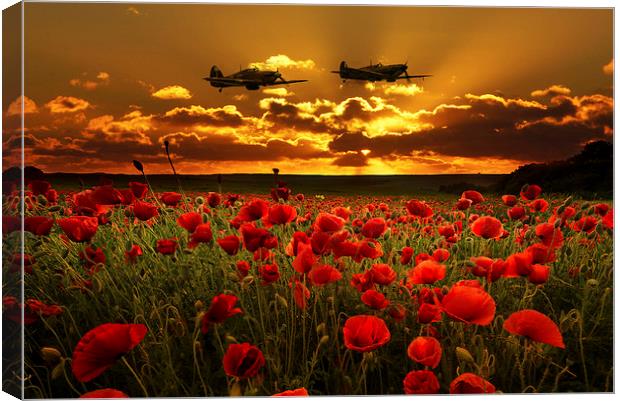 Sunset Poppies Fighter Command Canvas Print by J Biggadike