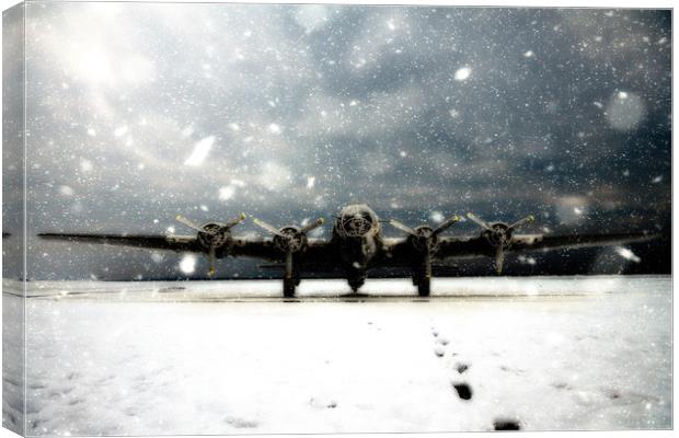 Sitting In The Snow Canvas Print by J Biggadike