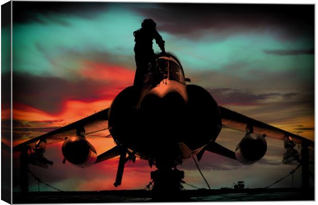 Sea Harrier Sillhouette Canvas Print by J Biggadike