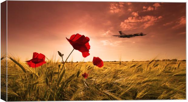 Vulcan Poppy Sunset Canvas Print by J Biggadike