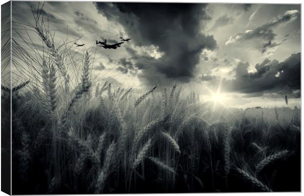 BBMF Harvest Canvas Print by J Biggadike