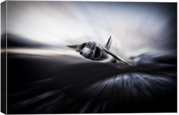 Winter Harrier Canvas Print by J Biggadike