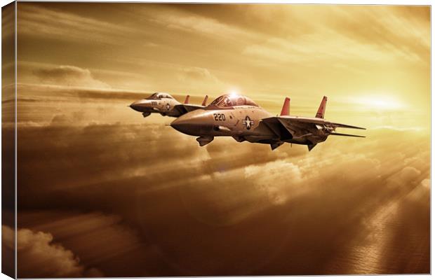 NAWC Tomcats  Canvas Print by J Biggadike