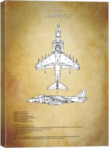 BAe Harrier Canvas Print by J Biggadike