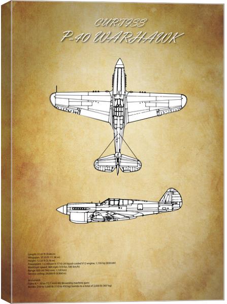 Curtiss P-40 Warhawk Canvas Print by J Biggadike