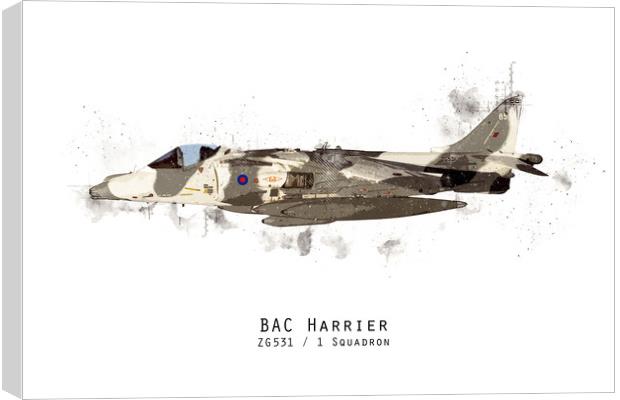 Harrier Sketch - ZG531 Canvas Print by J Biggadike