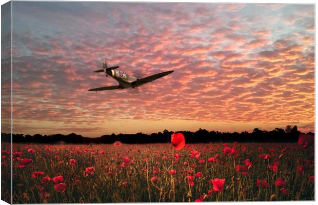 303 Fighter Ace Canvas Print by J Biggadike