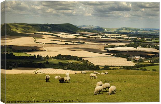 Sussex Countryside Canvas Print by Matthew Bates