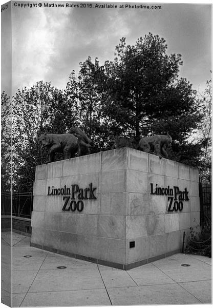 Lincoln Park Zoo Canvas Print by Matthew Bates