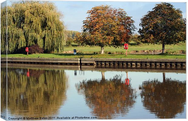 Trio of Thames Trees Canvas Print by Matthew Bates