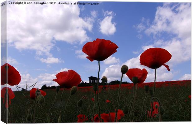 Poppys in the sky Canvas Print by Ann Callaghan