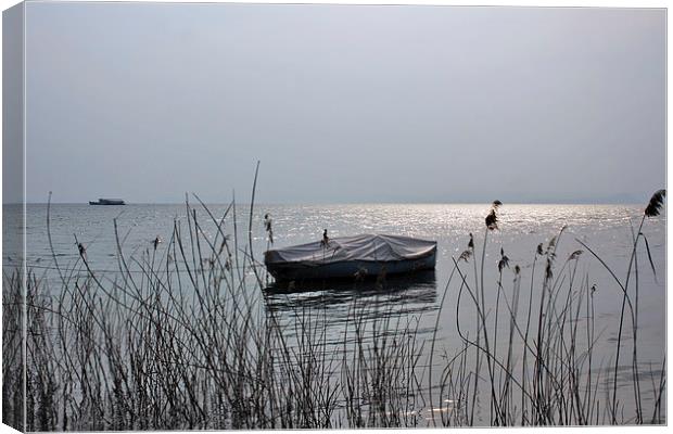 At rest Canvas Print by John Biggadike