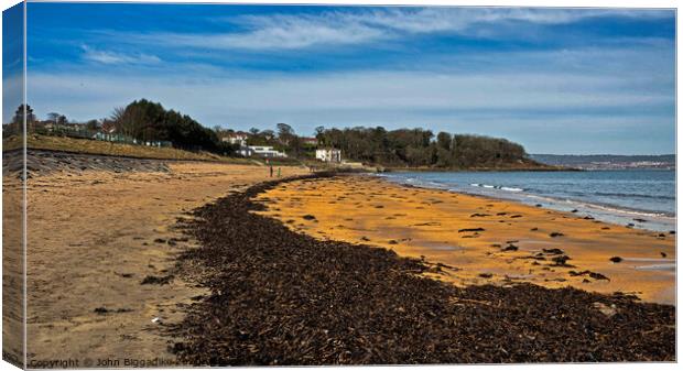 Bangor beach, County Down. Canvas Print by John Biggadike