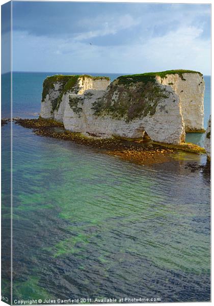 Old Harry's Rocks Canvas Print by Jules Camfield