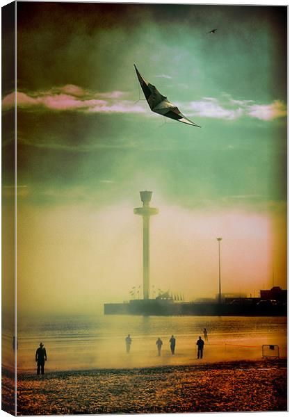 Lets Go Fly A Kite Canvas Print by Jules Camfield