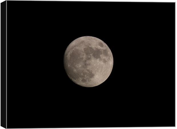 April Moon Canvas Print by Jules Camfield