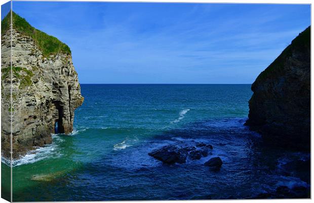 Bossiney Cove Canvas Print by Jules Camfield