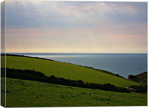 My Cornish Sea View Canvas Print by Jules Camfield