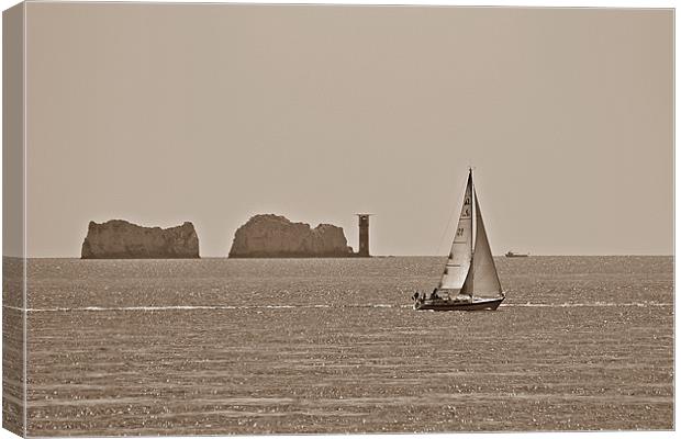 The Needles Canvas Print by Jules Camfield