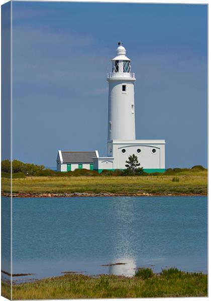 Hurst Point Lighthouse Canvas Print by Jules Camfield