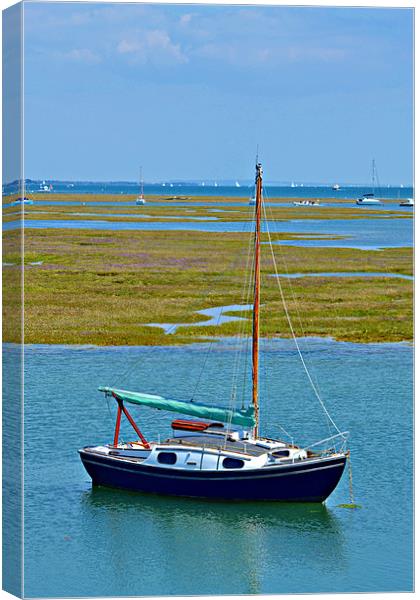 Alone Boat Canvas Print by Jules Camfield