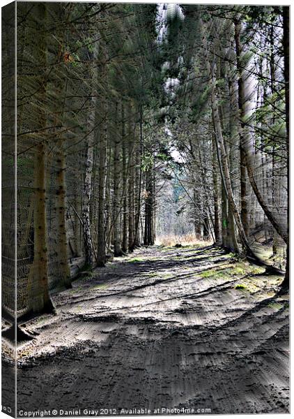 Nuclear Blast in woods Canvas Print by Daniel Gray