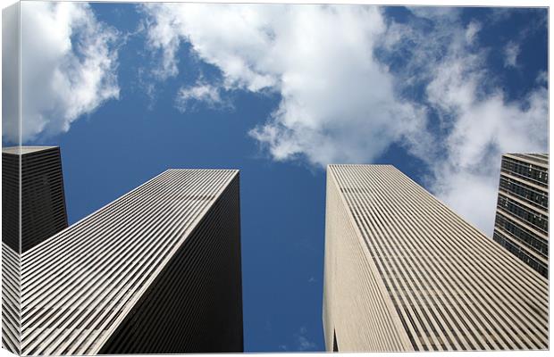 Reaching for the skies Canvas Print by Tom Hall